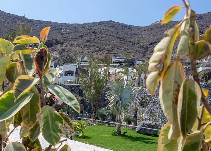 Отель Palm Island 3*